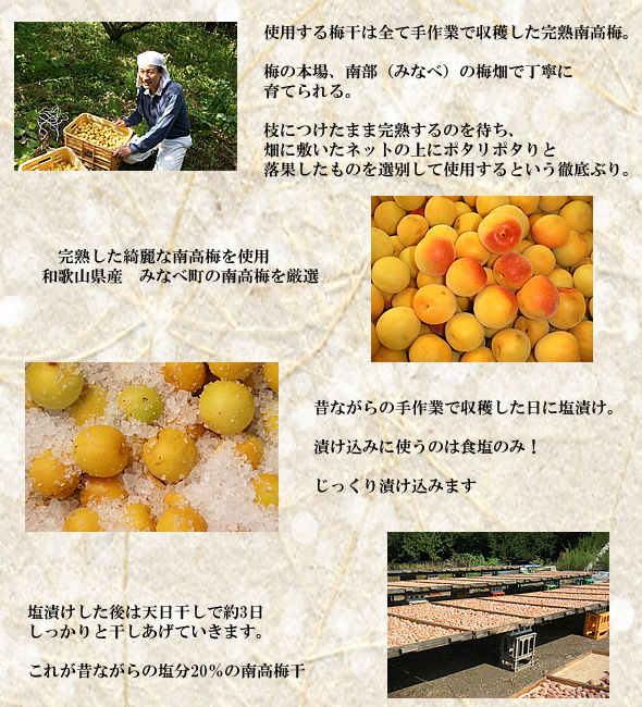 梅干し,梅,梅肉エキス,紀州南高梅干通販の専門店 - 深見梅店-無添加超大粒、南高梅干